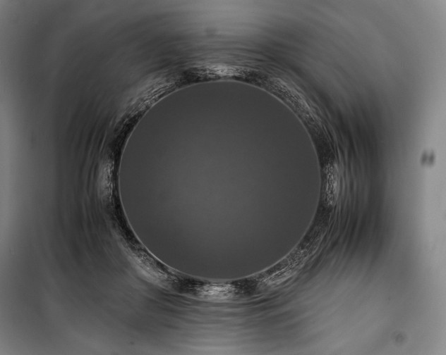 X0000100310410200806121045