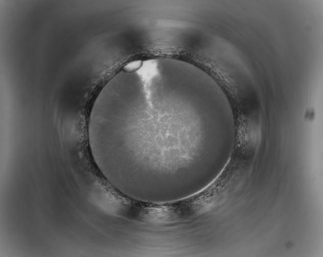 X0000100310411200806121045