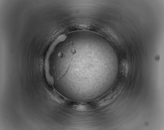 X0000100310412200806121045