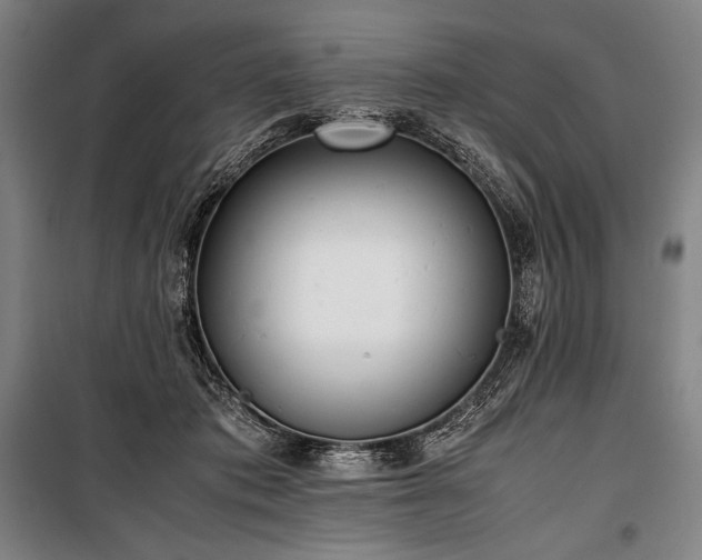 X0000100310413200806121045