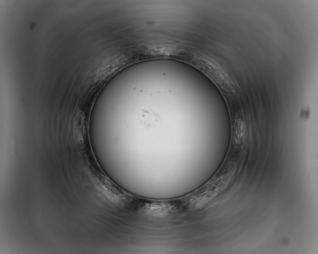 X0000100310414200806121045