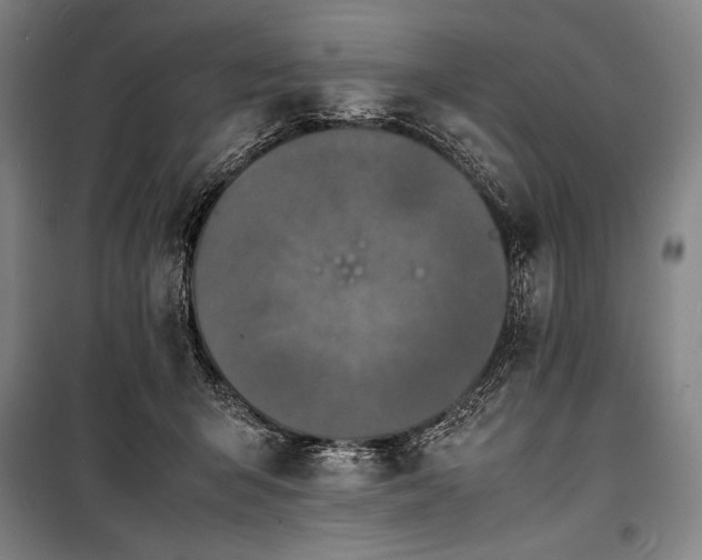 X0000100310415200806121045