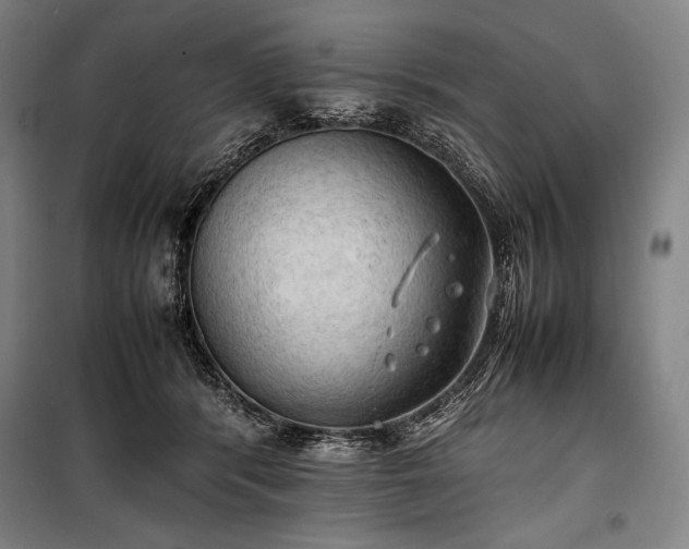 X0000100310416200806121045
