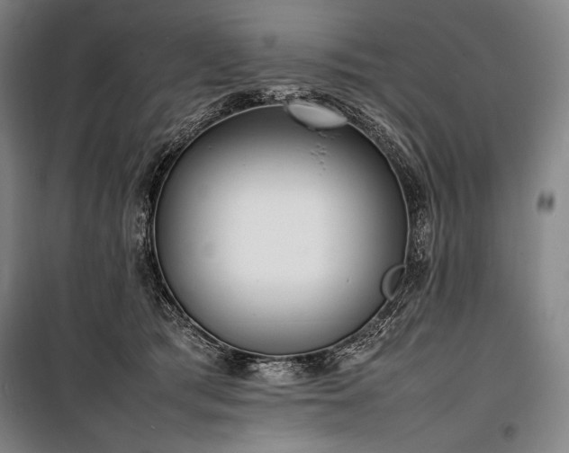 X0000100310417200806121045