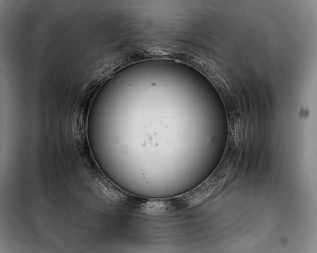 X0000100310418200806121045