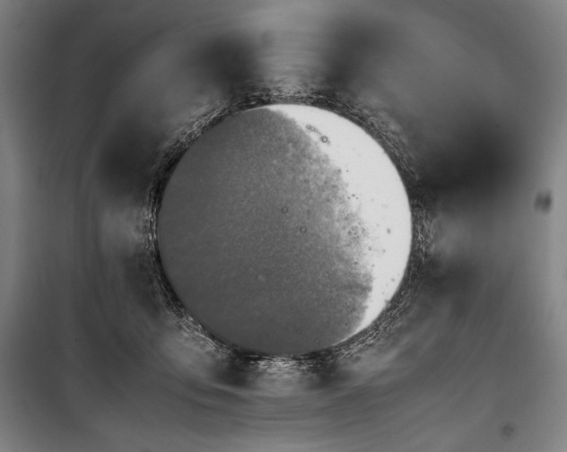 X0000100310419200806121045