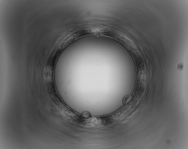 X0000100310421200806121045