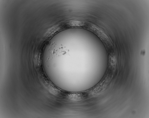 X0000100310422200806121045