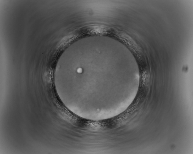 X0000100310423200806121045