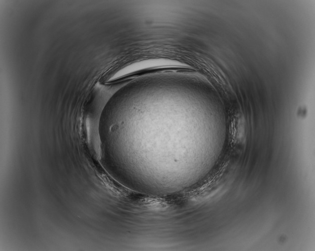 X0000100310424200806121045