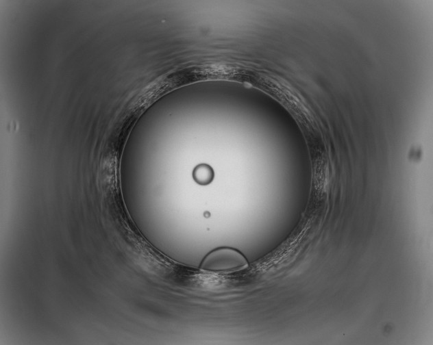X0000100310425200806121045