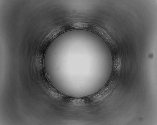 X0000100310426200806121045