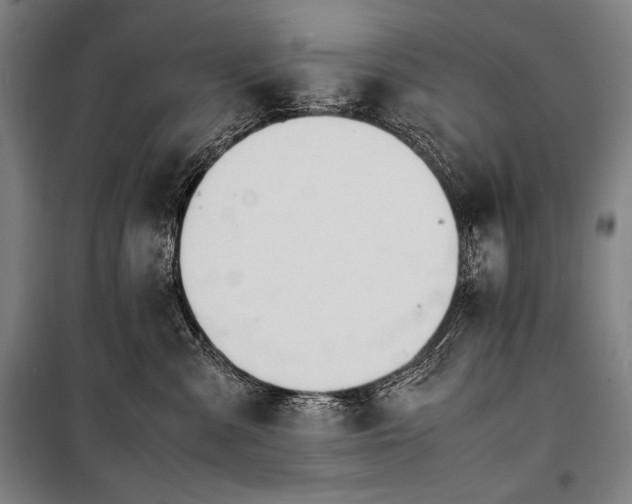 X0000100310427200806121045