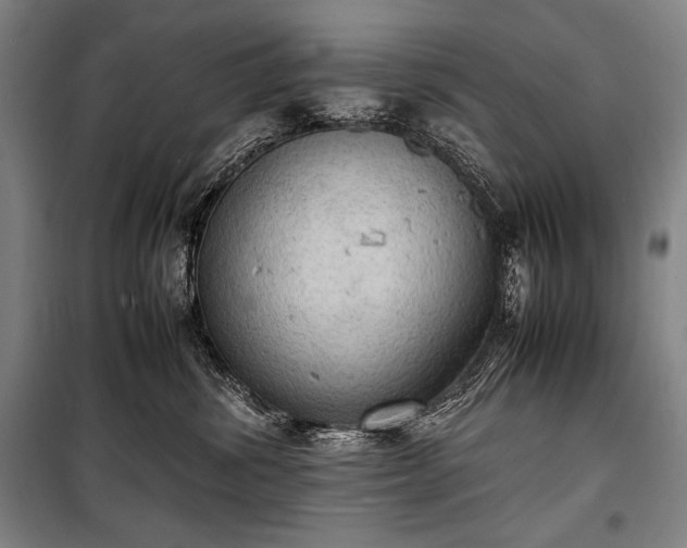X0000100310428200806121045