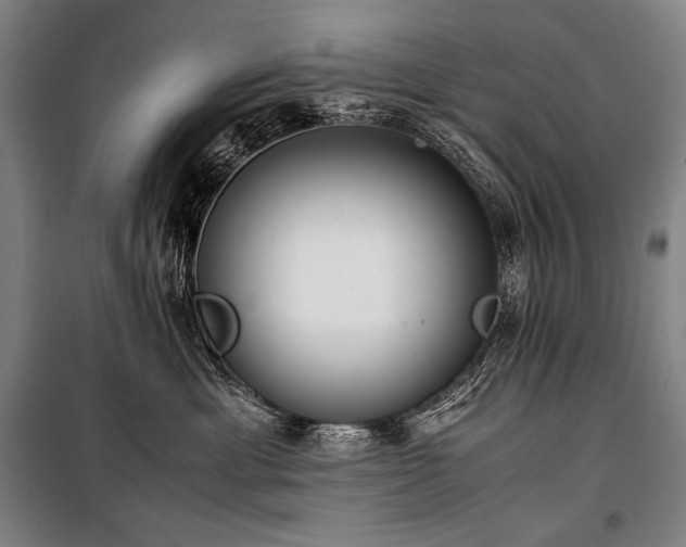 X0000100310429200806121045