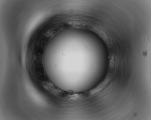X0000100310430200806121045
