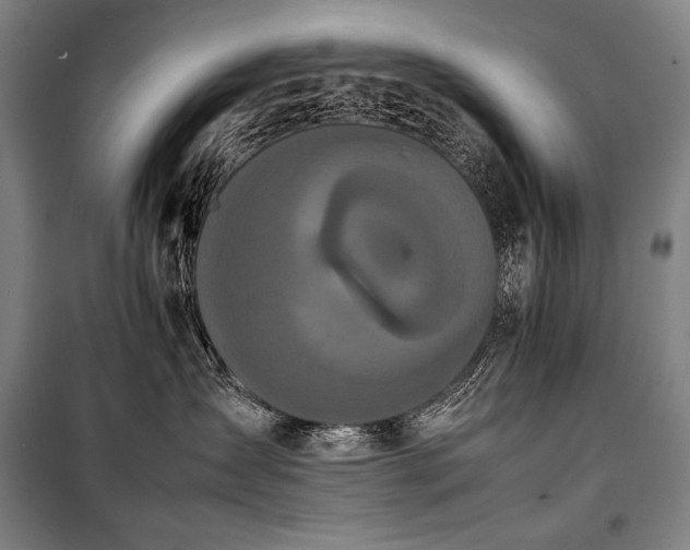 X0000100310431200806121045