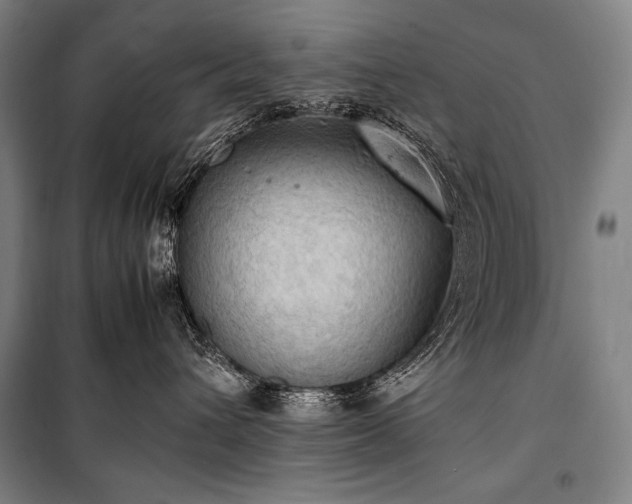 X0000100310432200806121045