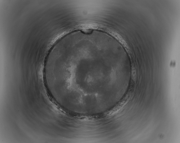 X0000100310434200806121044