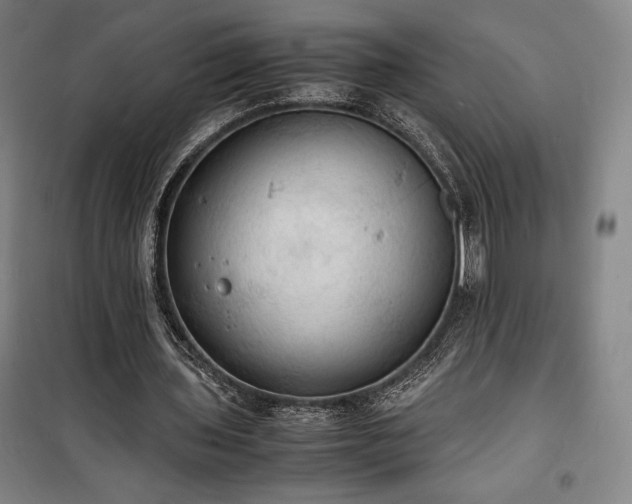 X0000100310435200806121044