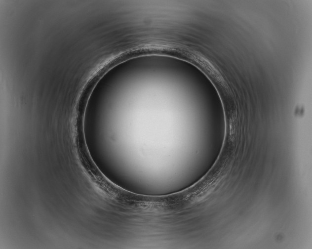X0000100310436200806121044