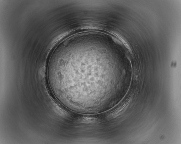 X0000100310437200806121044