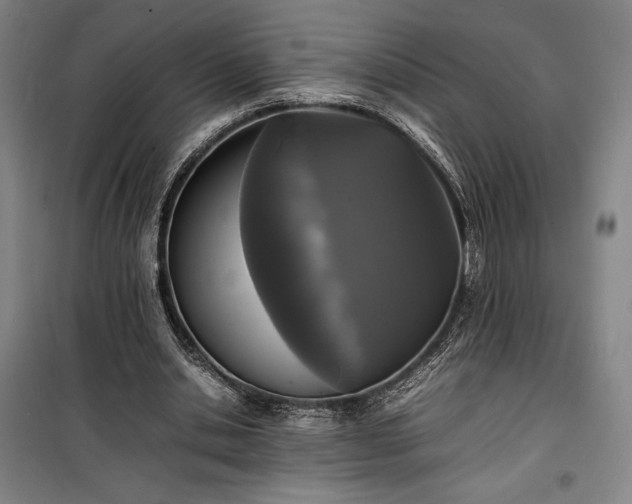 X0000100310438200806121044