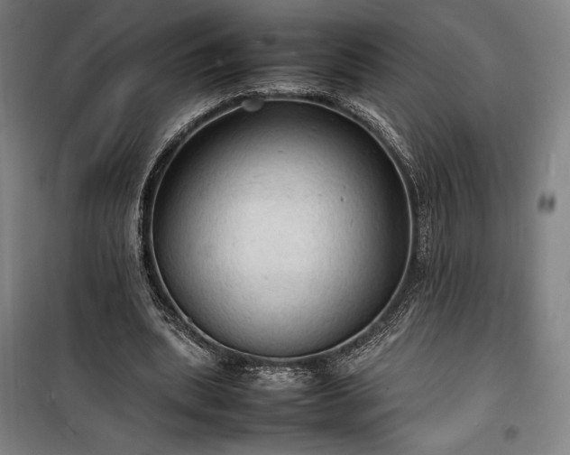 X0000100310439200806121044