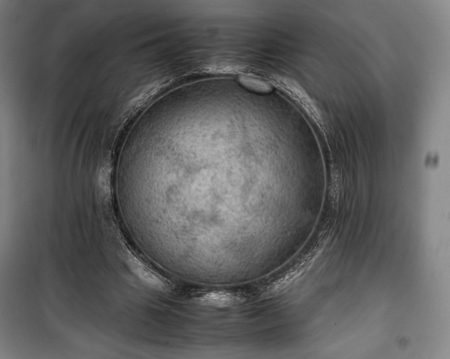 X0000100310441200806121044