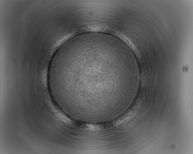 X0000100310442200806121044