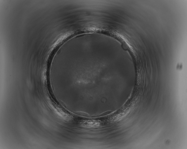 X0000100310443200806121044