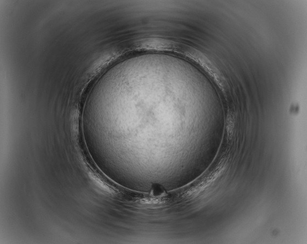 X0000100310445200806121044