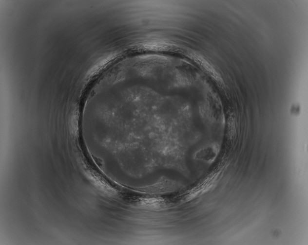 X0000100310446200806121044