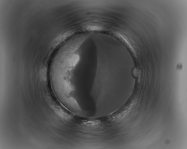 X0000100310447200806121044