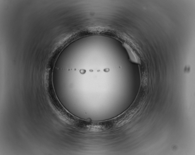 X0000100310448200806121044