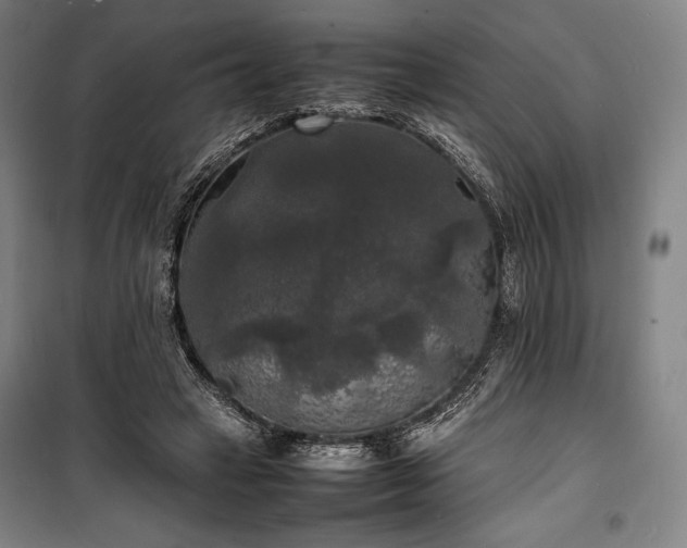 X0000100310449200806121044