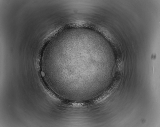 X0000100310450200806121044