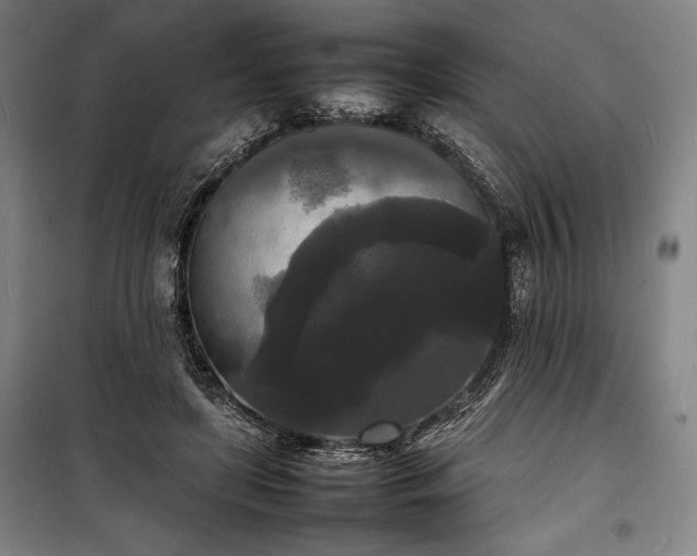 X0000100310451200806121044