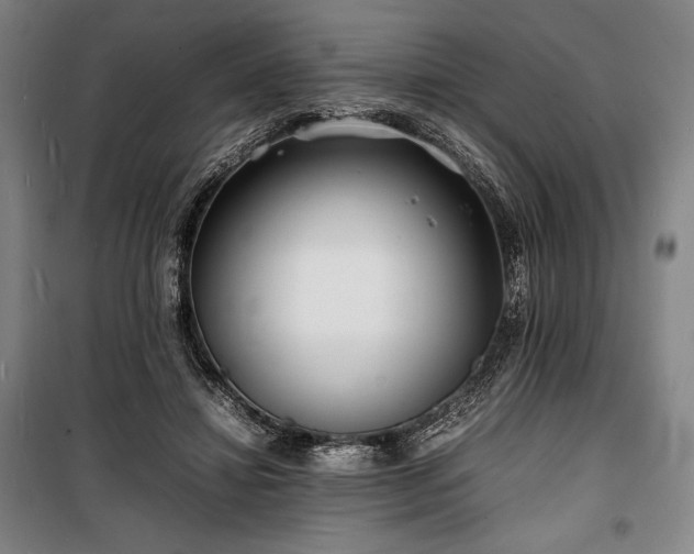 X0000100310452200806121044