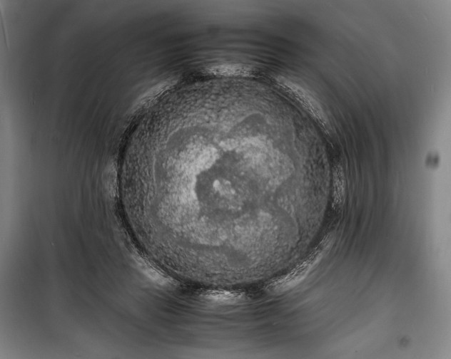 X0000100310453200806121044