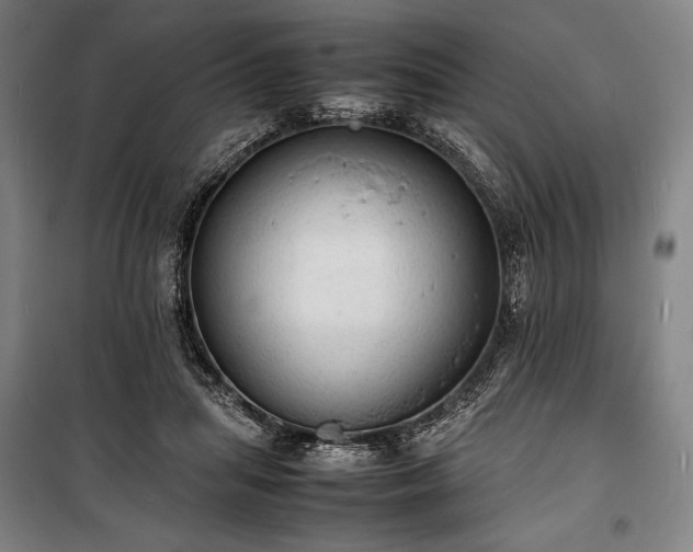 X0000100310455200806121044