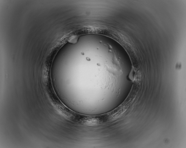 X0000100310456200806121044