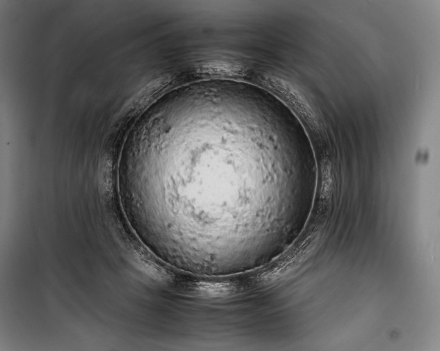 X0000100310457200806121044