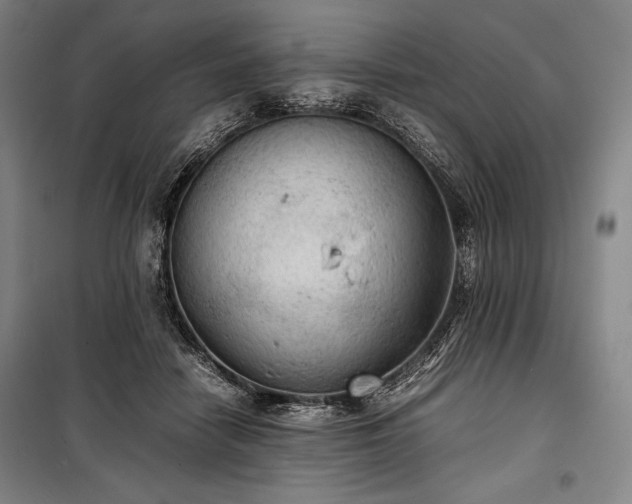 X0000100310458200806121044