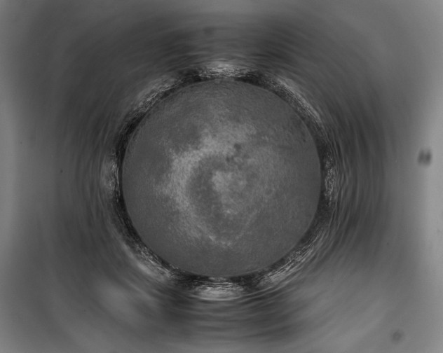 X0000100310459200806121044