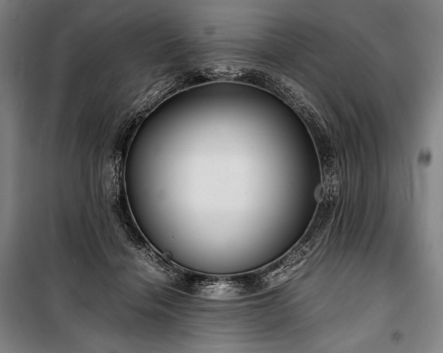 X0000100310460200806121044