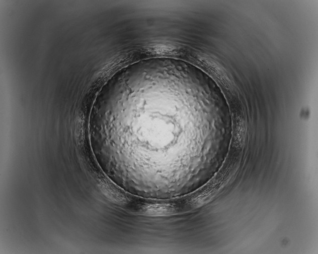 X0000100310461200806121044