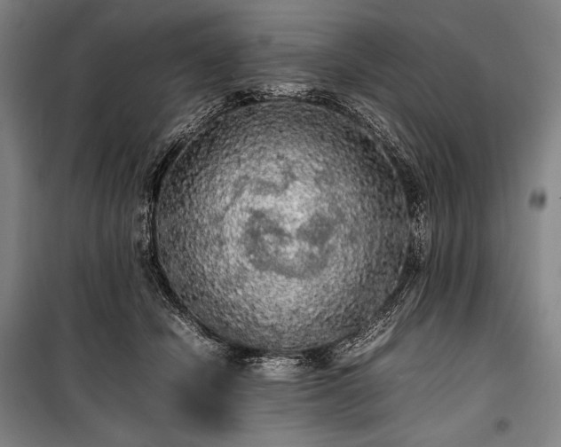 X0000100310462200806121044