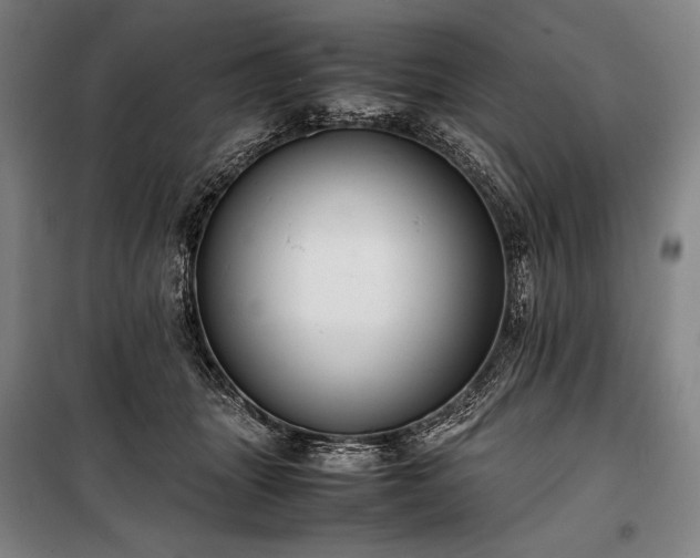 X0000100310463200806121044