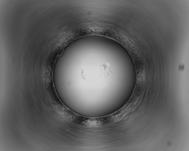 X0000100310464200806121044